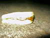 bugz4brainz Altpins Profile Picture
