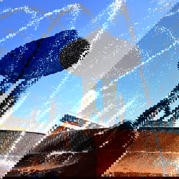 kkulakovaa image ~ Altpins