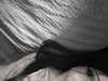 annaemiliaz Altpins Profile Picture