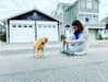 alexandradaddario Altpins Profile Picture