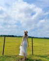 dear.zia Altpins Profile Picture