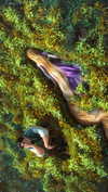 elizabethcampbelljones Altpins Profile Picture