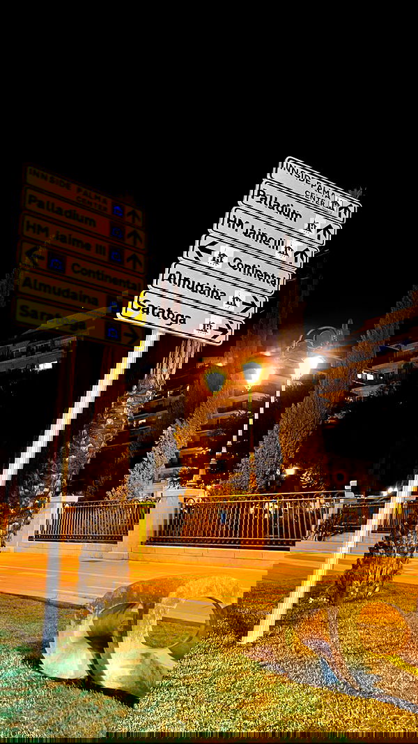 shunli__mei image ~ Altpins