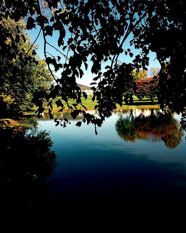 hallucineon instagram image archive image