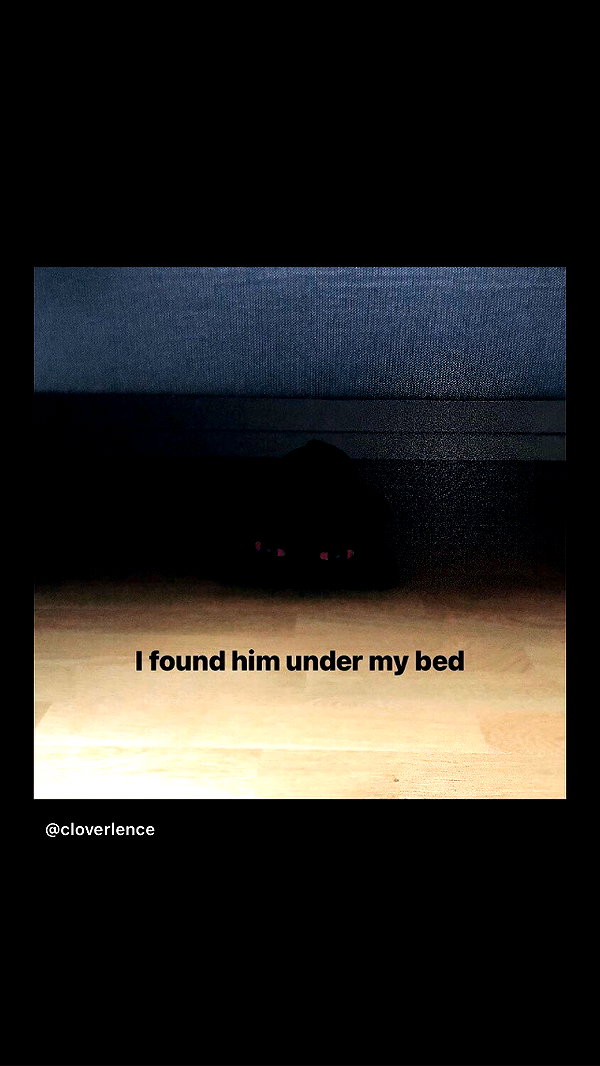 blursed.co blursed.co archive image