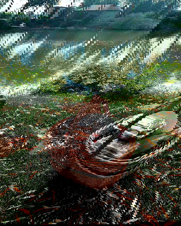 kkulakovaa image ~ Altpins