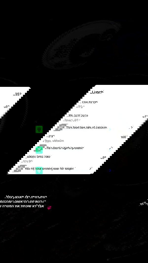 noammalka___ noammalka___ archive image