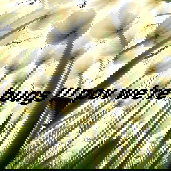 missnyxdawn missnyxdawn archive image