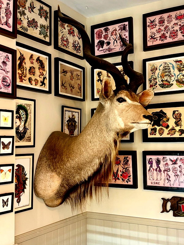 mollieruck instagram image archive image