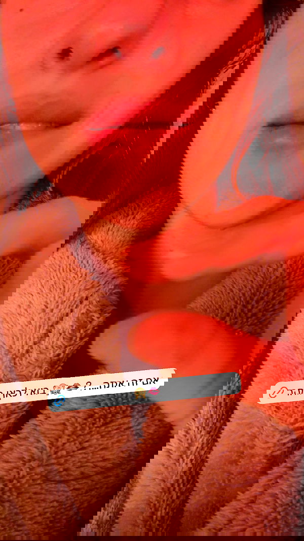 iambohema.v2 iambohema.v2 archive image