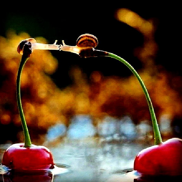 sychevskaya instagram image archive image