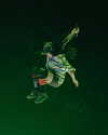 billieeilish Altpins Profile Picture