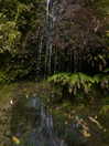 aleiisha.piixiie Altpins Profile Picture