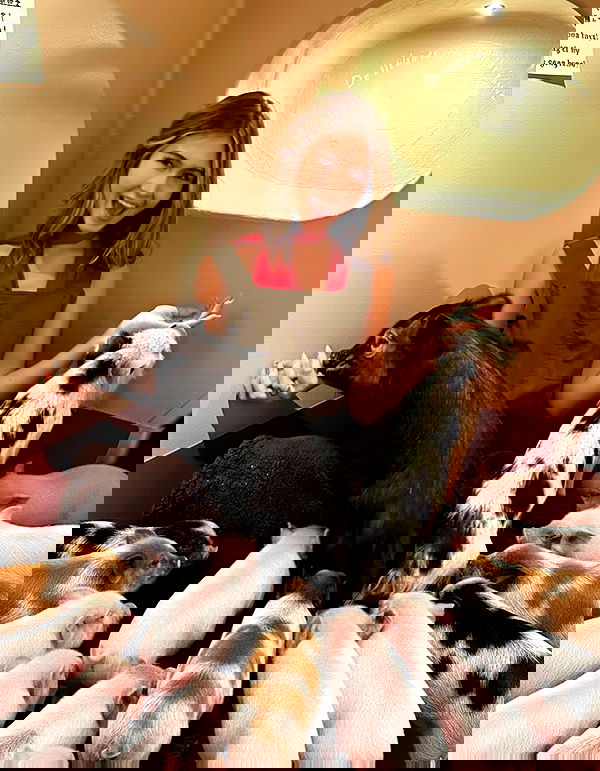 taylor.creeden taylor.creeden archive image