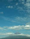 mayaellron Altpins Profile Picture