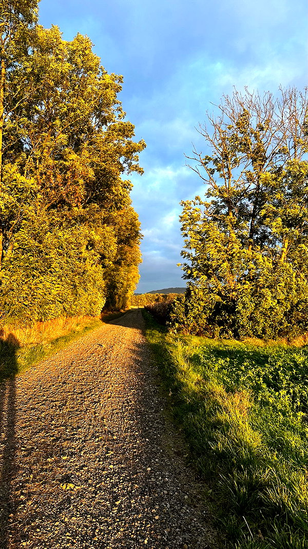 f4iryybl00d archive image