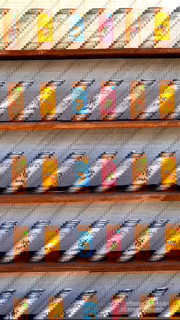 taylor.creeden taylor.creeden archive image