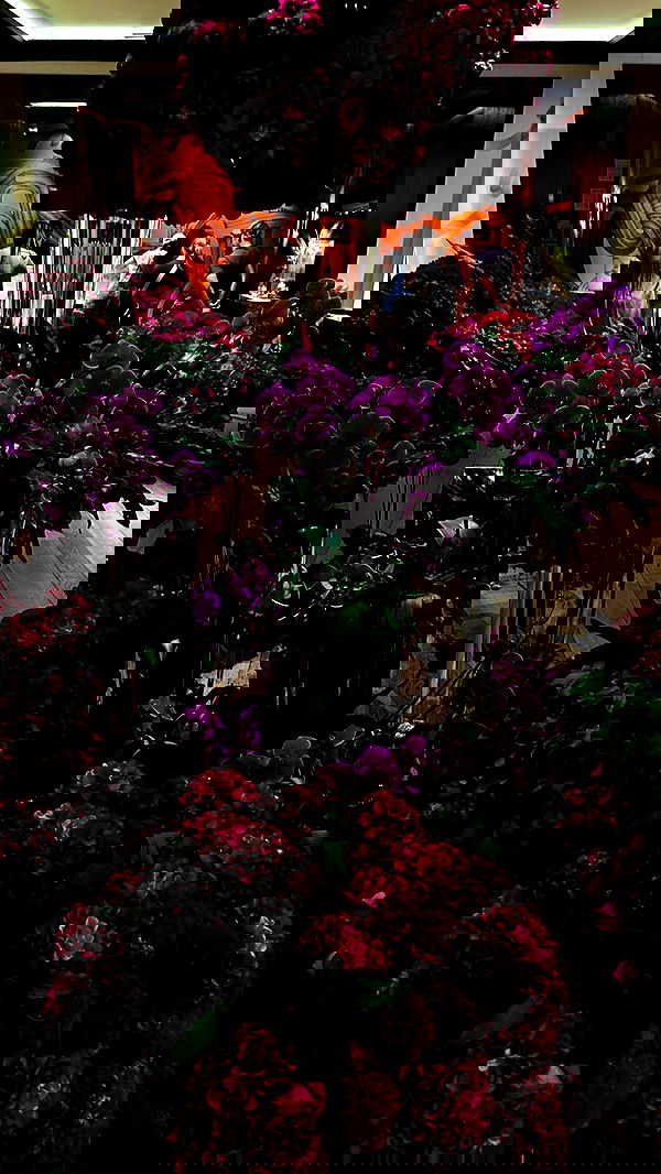 taylor.creeden taylor.creeden archive image