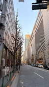 dina_shrago Altpins Profile Picture