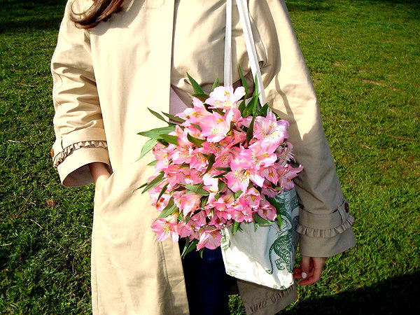 claudiacookgomez claudiacookgomez archive image