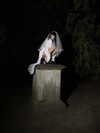 suspiria.em Altpins Profile Picture