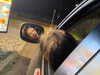 anesa.zm Altpins Profile Picture