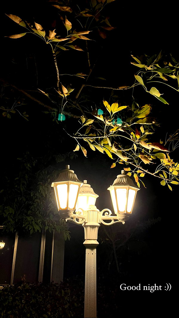 yaelxyazdi instagram image archive image