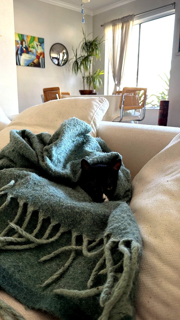 sydney_melman instagram image archive image