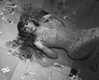 mariahcarey Altpins Profile Picture