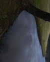elizabethcampbelljones Altpins Profile Picture