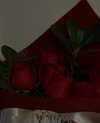 pauuuferreira_ Altpins Profile Picture