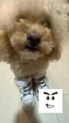 violetpau_ Altpins Profile Picture