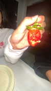 osher_yakir Altpins Profile Picture