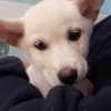 daxbin Altpins Profile Picture