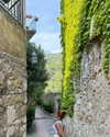 rouxroux.tv Altpins Profile Picture