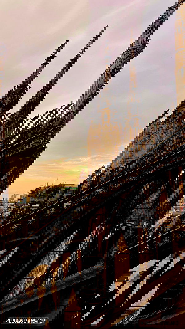 taylor.creeden taylor.creeden archive image