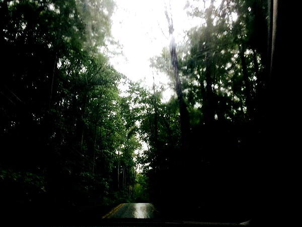 hallucineon instagram image archive image