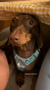 maya.keyy Altpins Profile Picture
