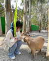 ____sy.02 Altpins Profile Picture