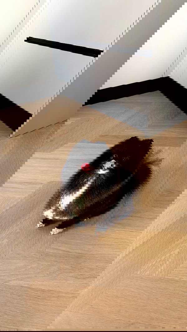 katrina.zaiceva katrina.zaiceva archive image