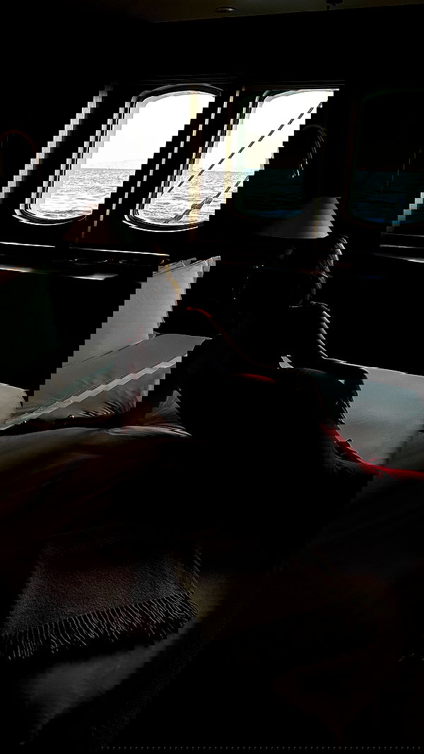 taylor.creeden taylor.creeden archive image