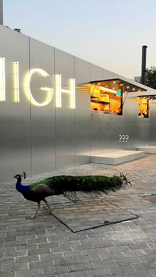 veroni22ka instagram image archive image
