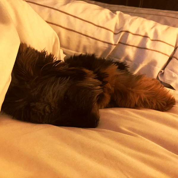 lilbieber instagram image archive image
