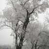 glowmoonshorty Altpins Profile Picture