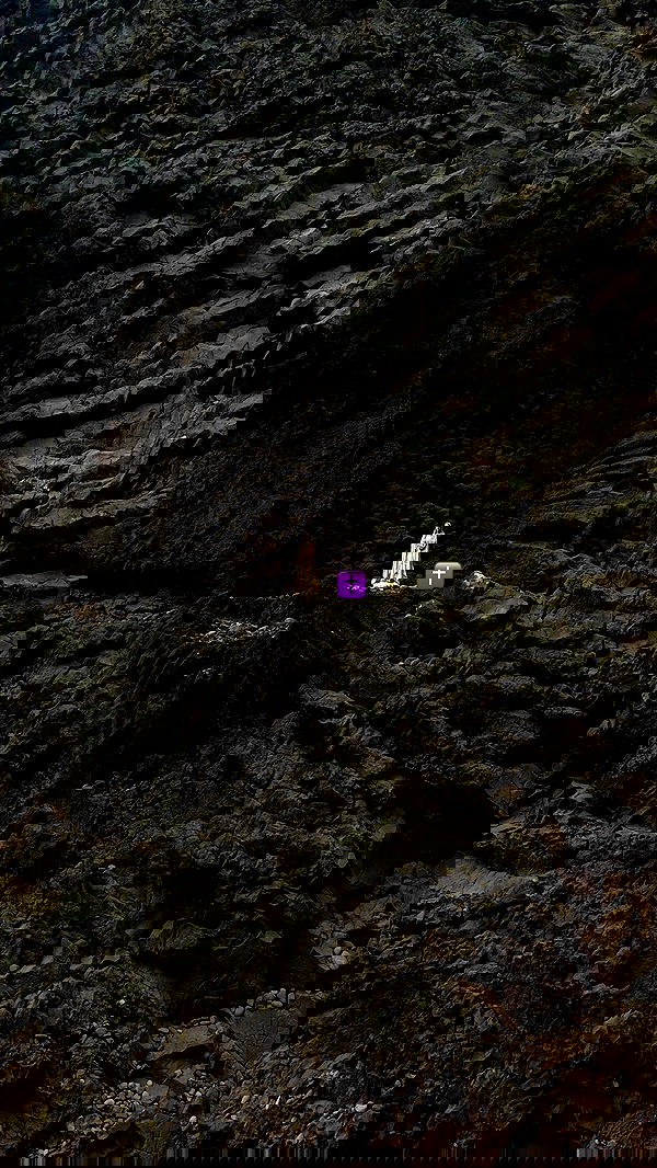 taylor.creeden taylor.creeden archive image