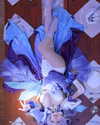 shuimiaoaqua Altpins Profile Picture