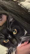 vampiryska Altpins Profile Picture