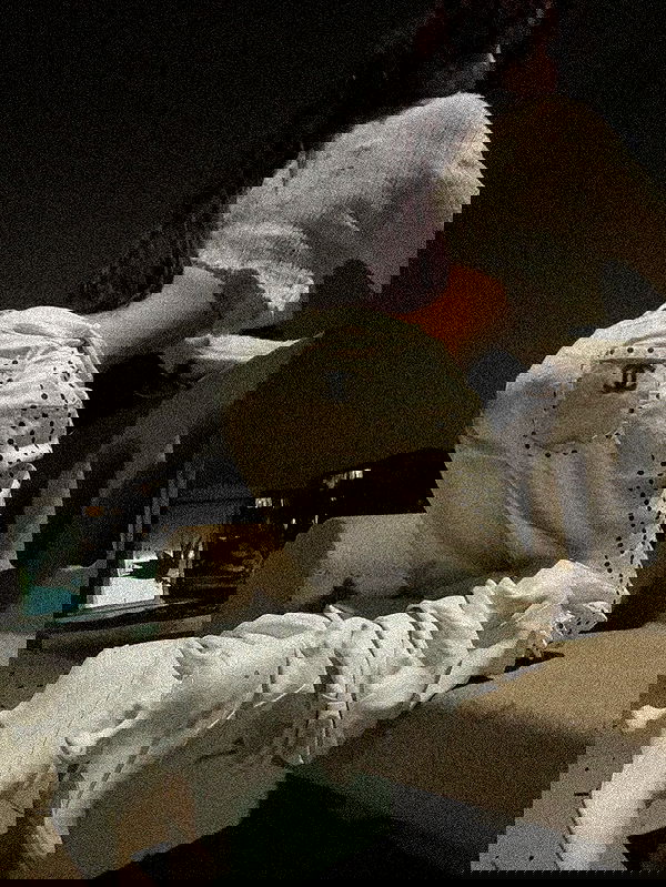 zommmbri zommmbri archive image