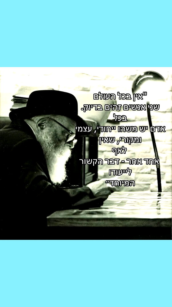 shahar__hauon instagram image archive image
