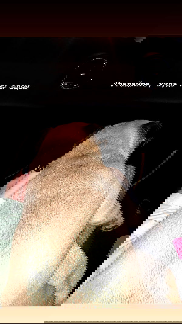 nyityam nyityam archive image